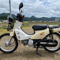 バイク　岐阜　スーパーカブ110 JA10 カスタム - 山県市