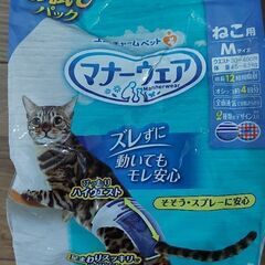 【お取り引き中】猫用グッズ色々の画像