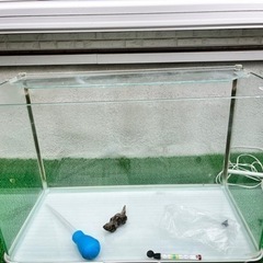 エーハイムプロフェッショナルの中古が安い！激安で譲ります