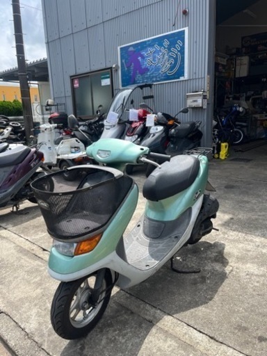 ライブディオチェスタ緑