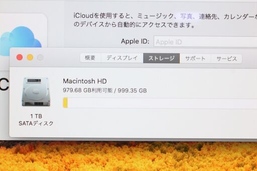 iMac（21.5-inch,Late 2015）1.6GHz Core i5〈MK142J/A〉⑥
