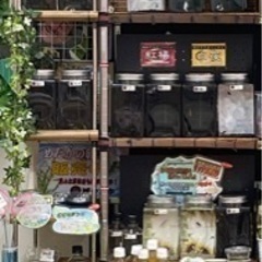 【城めだか】🐟本日のラインナップ🐟🐟🐟