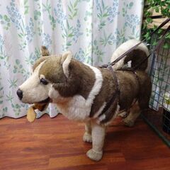 ★ぬいぐるみ MAED IN ITARY★シベリアンハスキー・大型犬★