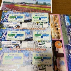 長島スパーランド3枚　チケット　パスポート