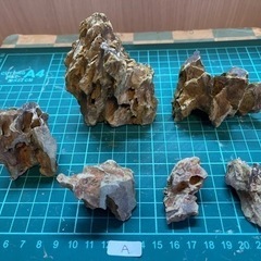 黄虎石　特大＋小セット(A)の画像
