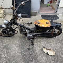 土日限定！！　カブ　50の画像