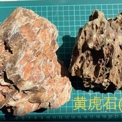 黄虎石　中2個＋小セット(D)