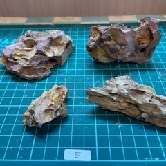 黄虎石　中4個＋小セット(Ｅ)の画像