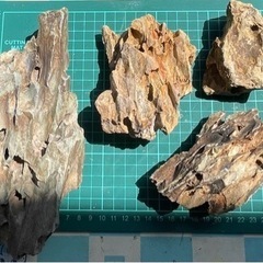 黄虎石　中4個＋小セット(Ｅ)の画像