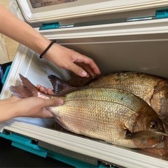 釣りガール募集 ‪🎣‬🩷