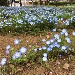 空き家を格安で貸して下さい