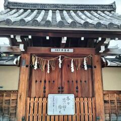 お寺で居合体験✨してみよう❗✨の画像