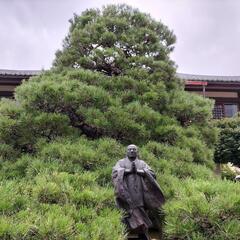 お寺で居合体験✨してみよう❗✨の画像