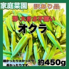 完売ありがとう御座いました！ 形不揃い オクラ 