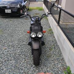ホンダ　ズーマ　