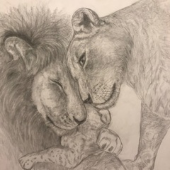 絵描き仲間募集中