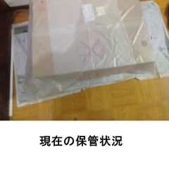 犬用のオムツの画像