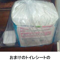 犬用のオムツの画像