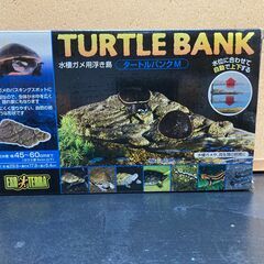 タートルバンクｍ