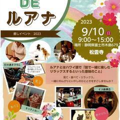 松雲寺 de ルアナ