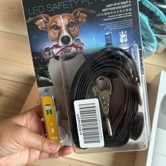（新品）犬用品，4点，多機能ペットの水筒のおやつのコップ2合1携帯の水筒の画像