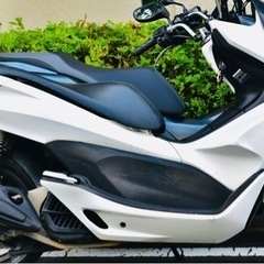 HONDA PCX125 JF28 車体の画像