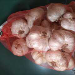 国産無農薬にんにく（ヒビ、変形1ｋｇ）の画像