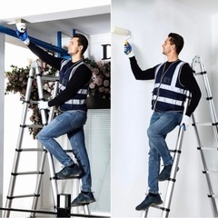 はしご兼用脚立の画像