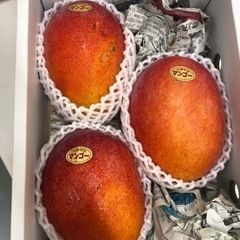 【今年ラスト】決まりました