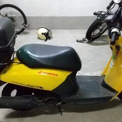 スクータ　TODAYの画像