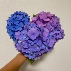 30歳ママです。ママ友探してます♡