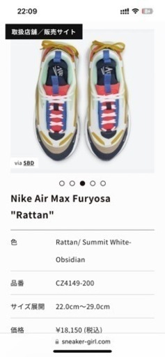 Nike Air Max (エアマックス)23cm