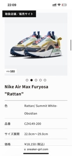 Nike Air Max (エアマックス)23cm