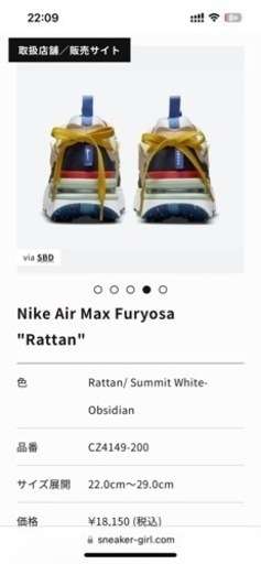 Nike Air Max (エアマックス)23cm