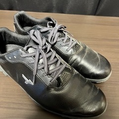 ゴルフシューズの画像