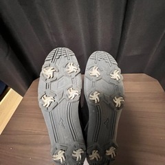 ゴルフシューズの画像