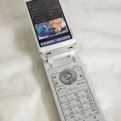 30日安心保証 動作確認済み 美品  au エーユー CASIO...