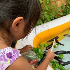 お散歩行きたい