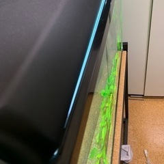 60cm水槽一式の画像