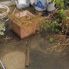 家の周りの植木鉢や物置など回収します