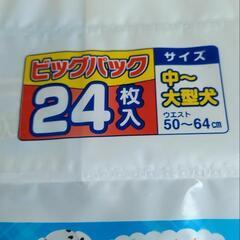 犬用マナーおむつの画像