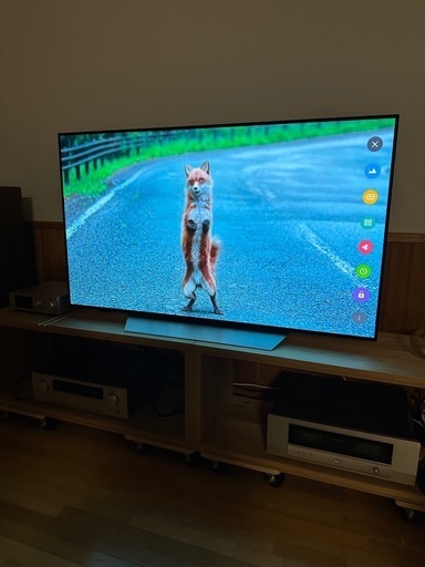 LG 55型　有機ELテレビ