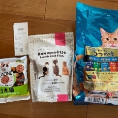 カリカリキャットフードを3種類。