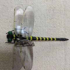 オニヤンマ君（虫除け)