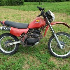 ホンダ　ＸＬ２５０Ｒの画像