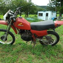 ホンダ　ＸＬ２５０Ｒの画像