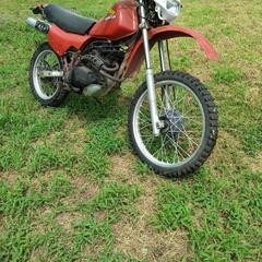 ホンダ　ＸＬ２５０Ｒの画像