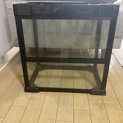 爬虫類やカエルのゲージ