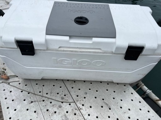 イグルー　マックスコールド　IGLOO クーラーボックス MAXCOLD 165QT イグルー マックスコールド 156L 保冷力 7日間