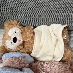 ダッフィーとシェリーメイ 眠っているぬいぐるみの画像